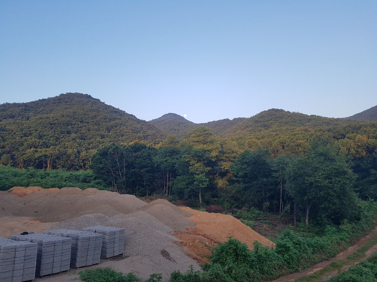 첨부 이미지