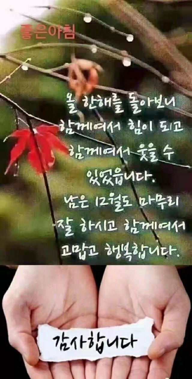 첨부 이미지
