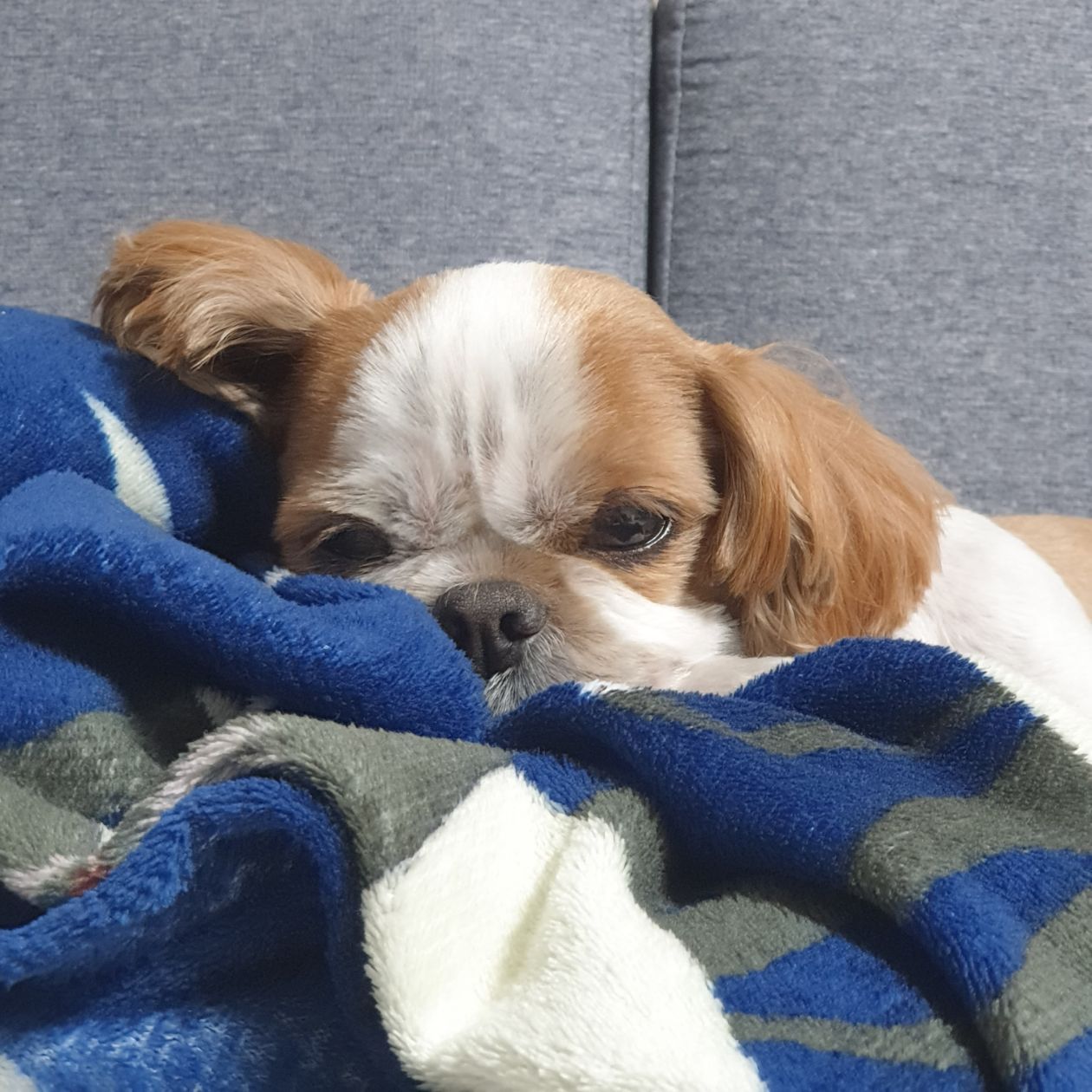 첨부 이미지