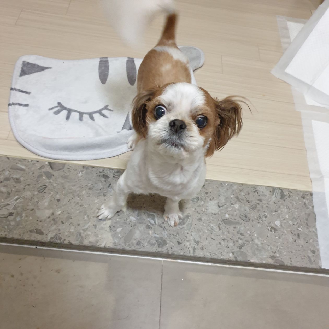 첨부 이미지