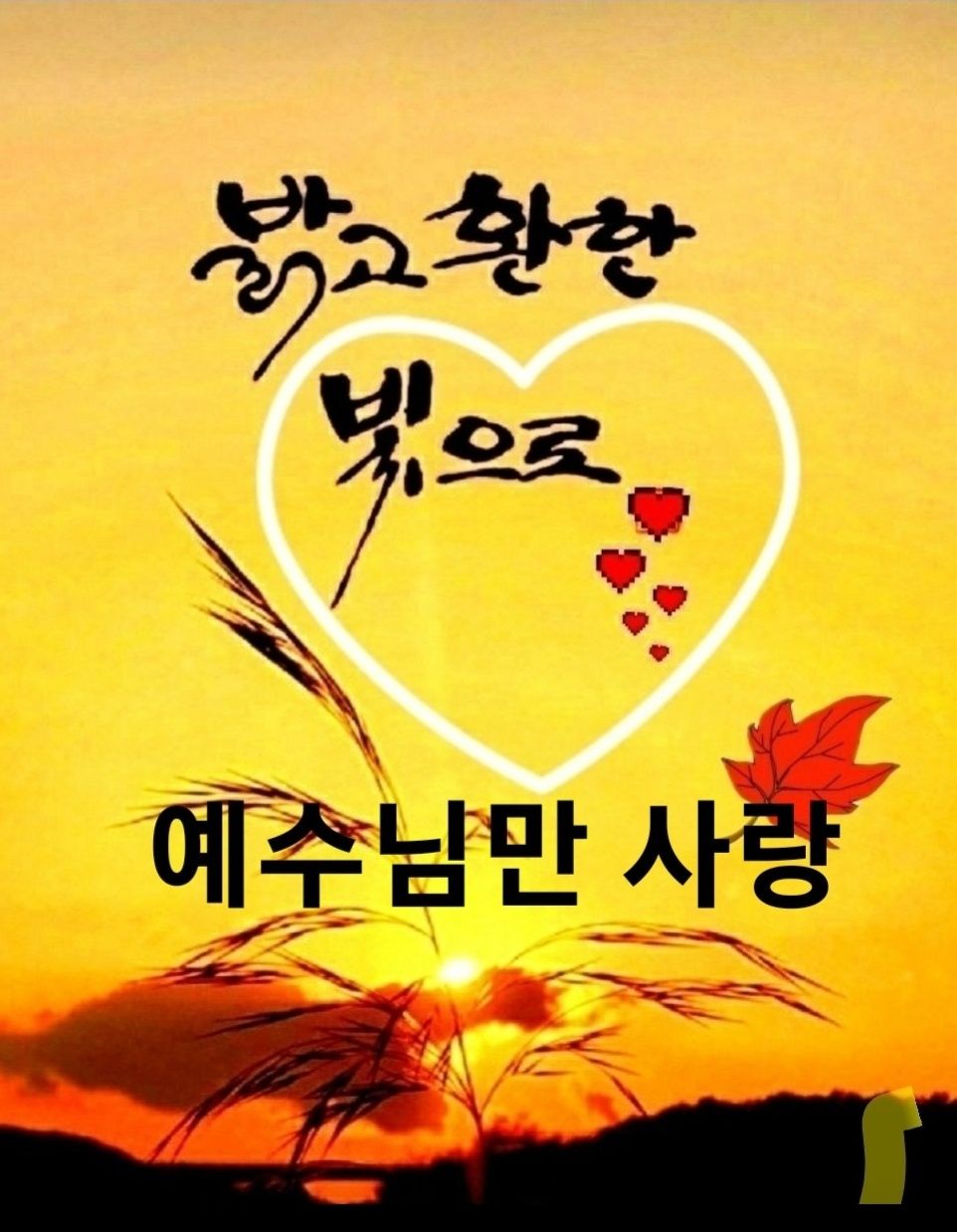 첨부 이미지