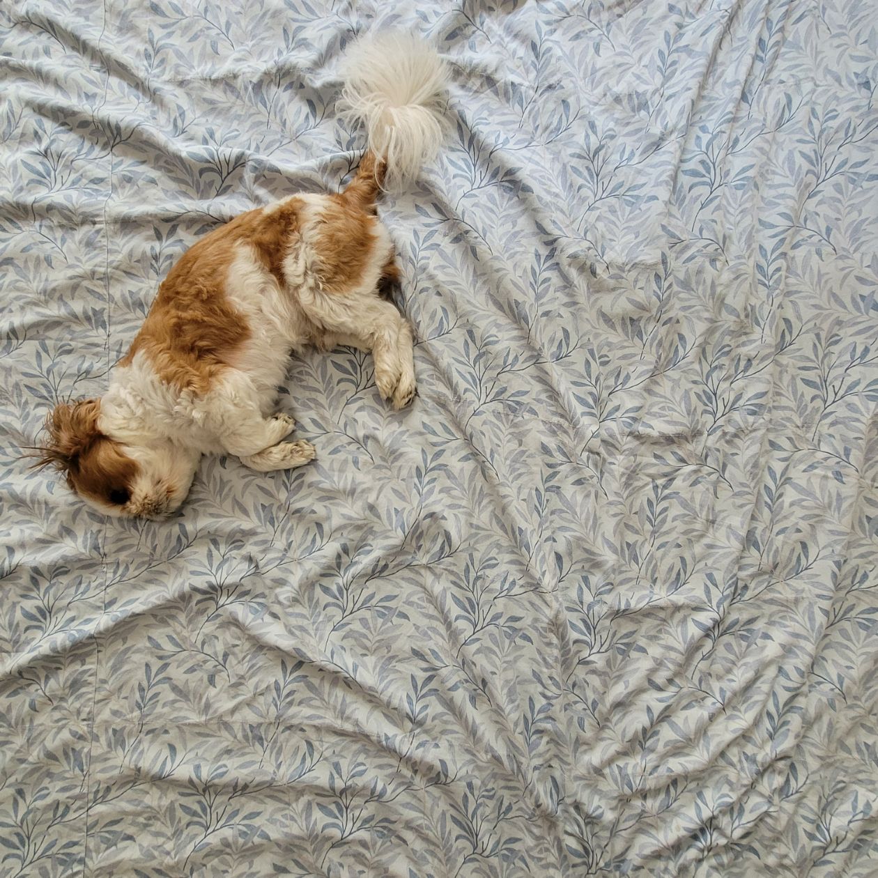 첨부 이미지